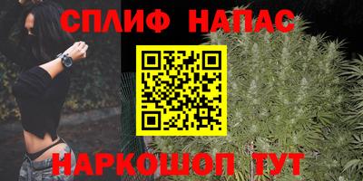 гашик Кулебаки