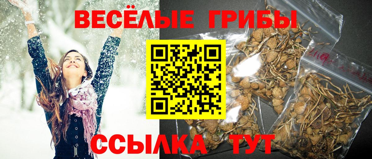 Псилоцибиновые грибы Cubensis  Вход с VPN  Ижевск 