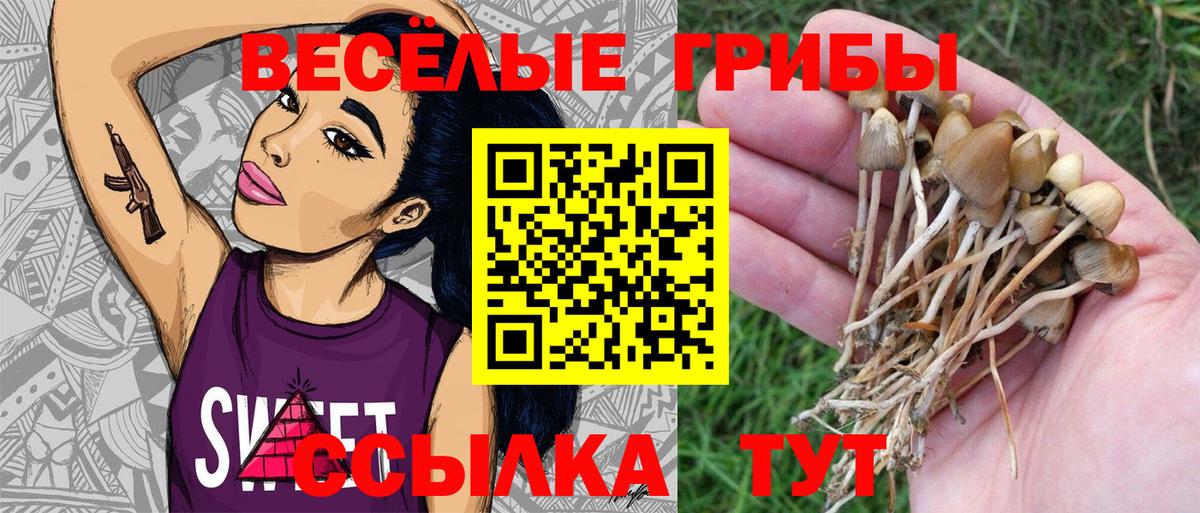 Псилоцибиновые грибы мухоморы Ижевск